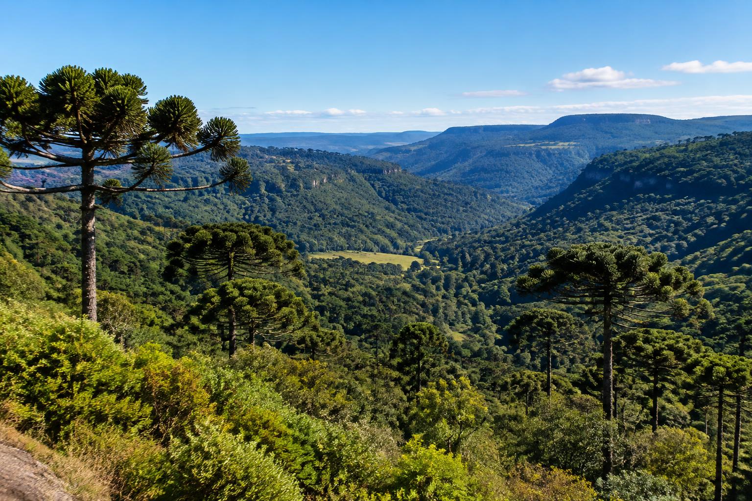 Illustrative Serra Gaúcha landscape, Brazil — not Kurotel photography